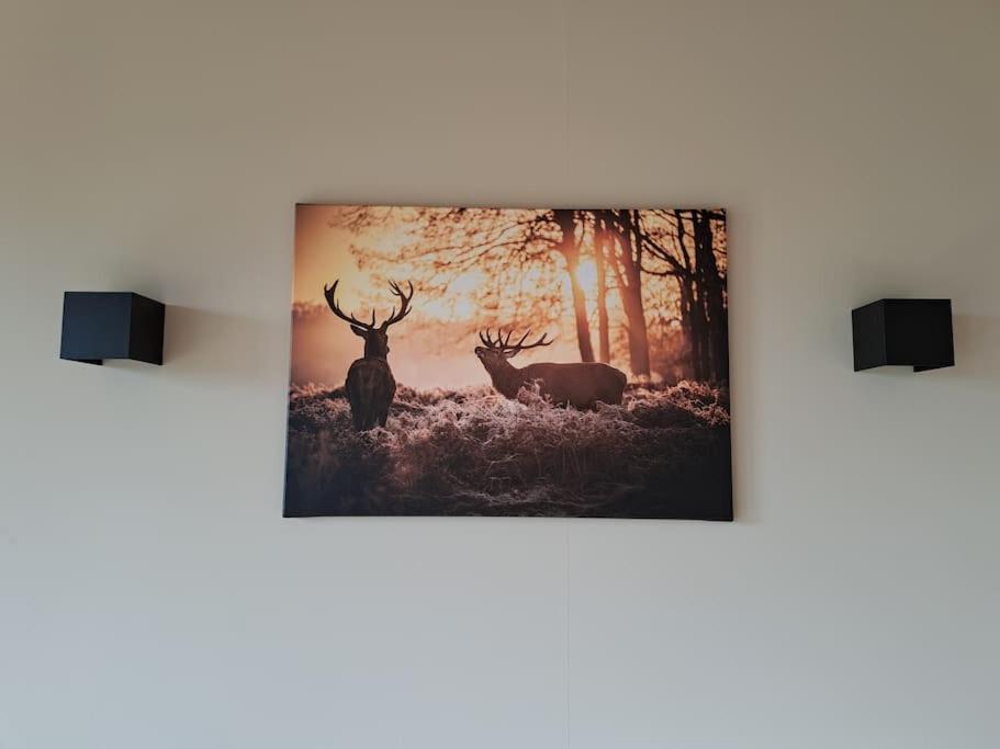Lange Heide Apartment อ็อตเตอร์โล ภายนอก รูปภาพ